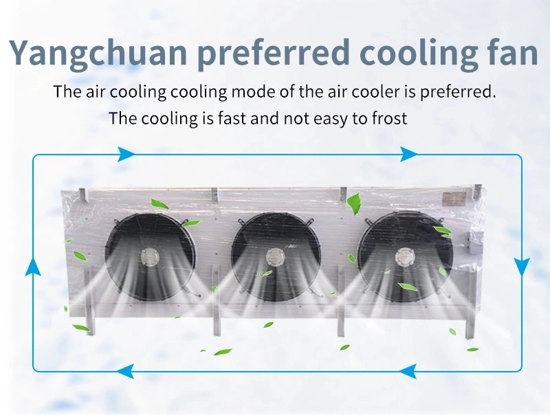 Evaporator Unit for Cold Room Compressor Blast Freezer Condenser Unit Evaporator Air Room
