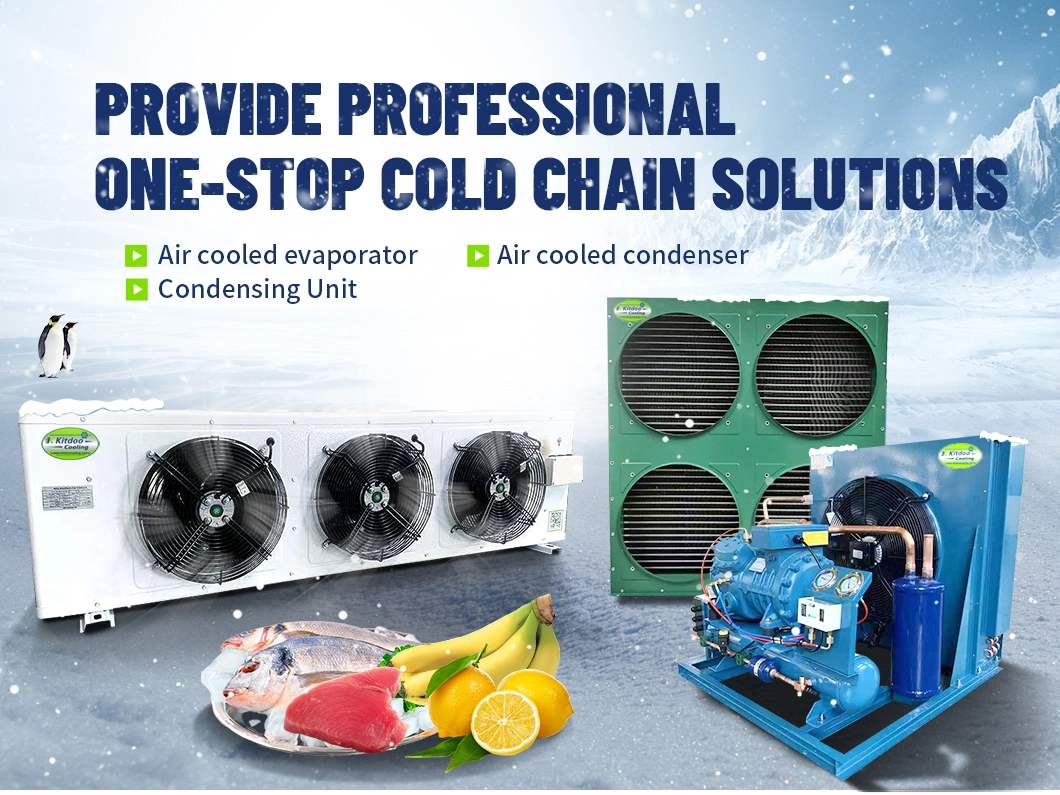 De Walkin Cooler Evaporator Unit for Freezer