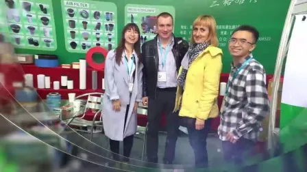 Hot Sale Intake Valve Piston 2906602100 Used on Air Compressor for Cylinder