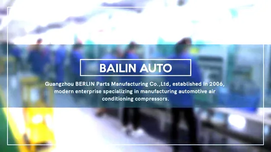 OEM Original Chinese Car Accessories Vehicle Auto Spare Parts AC Compressor for Changan N300 Mg Dfsk JAC Byd Chery Great Wall Maxus Geely 